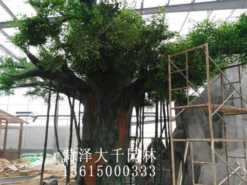 點擊查看詳細信息<br>標題：假樹 閱讀次數：1476