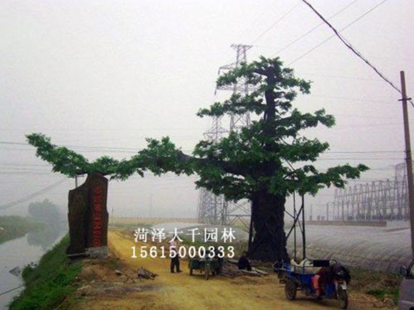 點擊查看詳細信息<br>標題：假樹 閱讀次數：1410