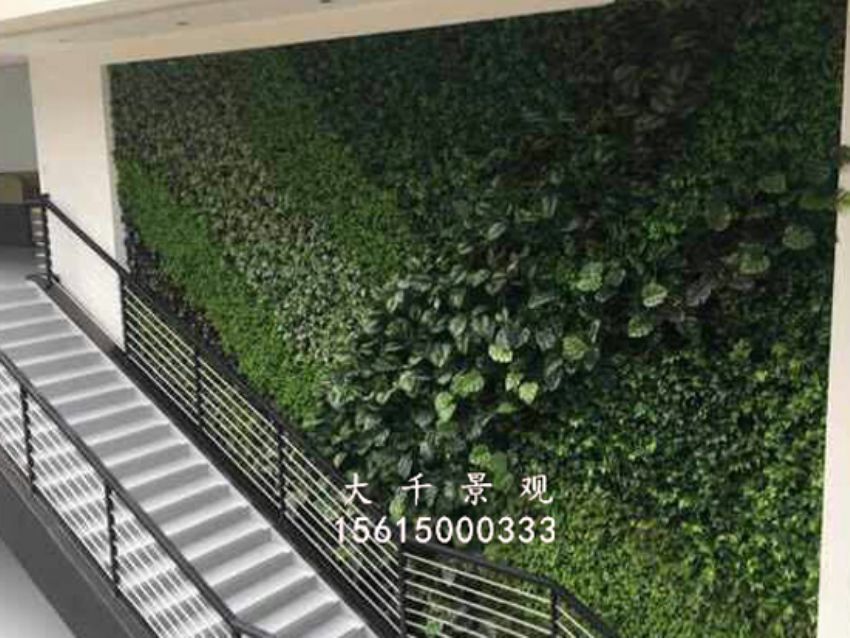 點擊查看詳細信息<br>標題：綠植墻 閱讀次數：1740