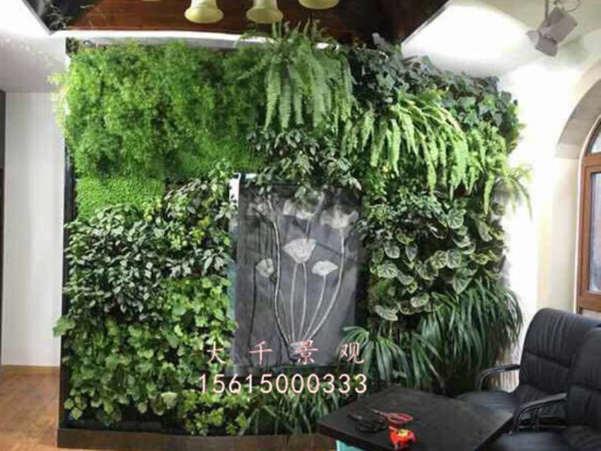 點擊查看詳細信息<br>標題：綠植墻 閱讀次數：1817