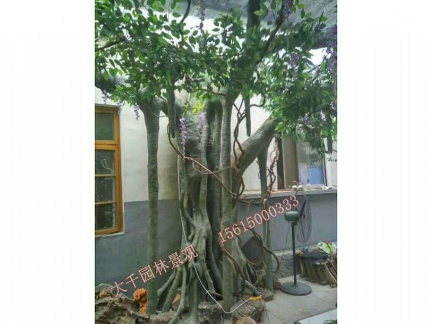 點擊查看詳細信息<br>標題：假樹 閱讀次數：2580